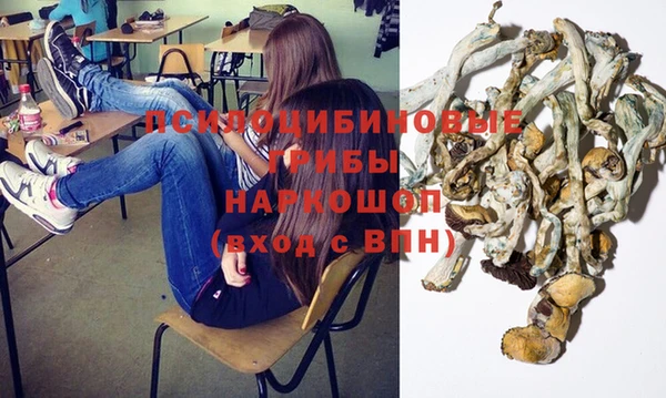 молекула духа Аркадак